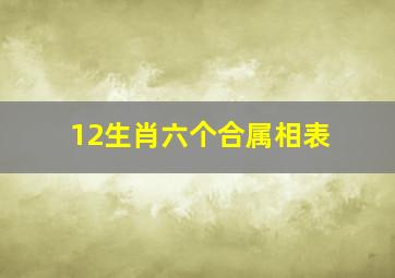 12生肖六个合属相表