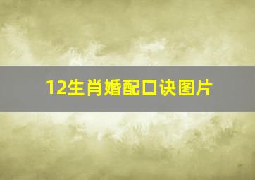 12生肖婚配口诀图片