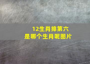 12生肖排第六是哪个生肖呢图片