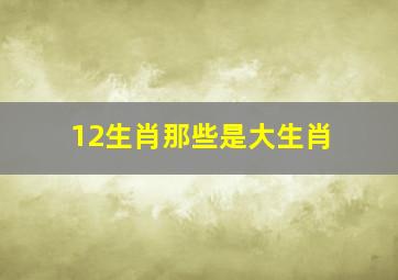 12生肖那些是大生肖