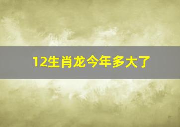 12生肖龙今年多大了