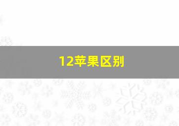 12苹果区别