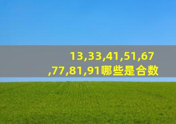 13,33,41,51,67,77,81,91哪些是合数