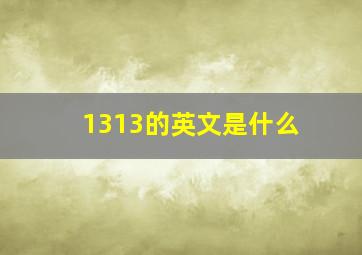 1313的英文是什么