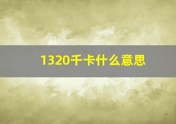 1320千卡什么意思