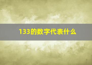 133的数字代表什么