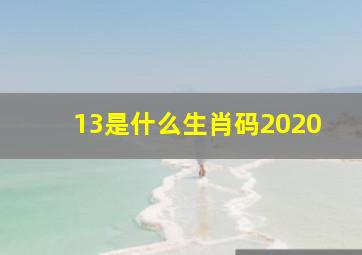 13是什么生肖码2020