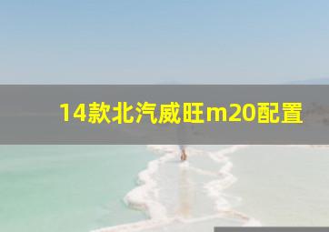 14款北汽威旺m20配置