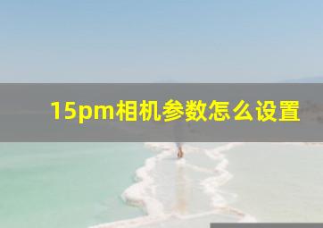 15pm相机参数怎么设置