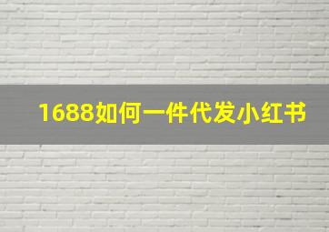 1688如何一件代发小红书