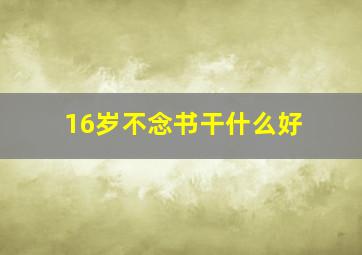 16岁不念书干什么好