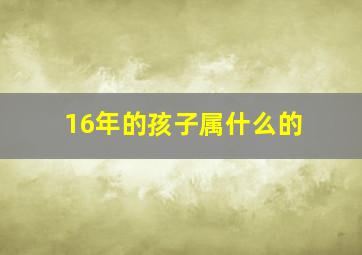 16年的孩子属什么的