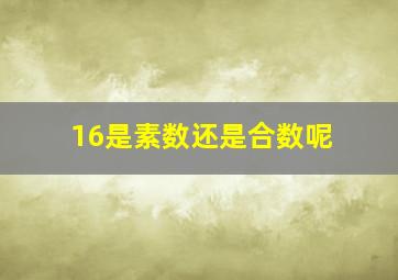 16是素数还是合数呢