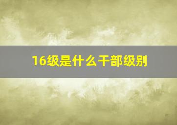 16级是什么干部级别