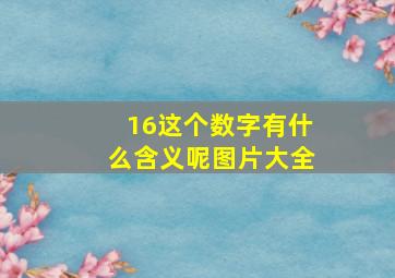 16这个数字有什么含义呢图片大全