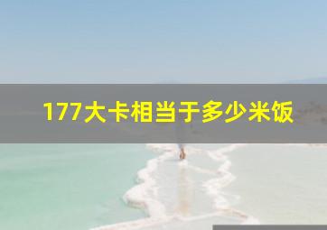 177大卡相当于多少米饭