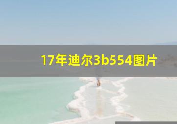 17年迪尔3b554图片