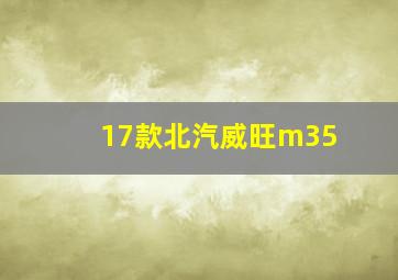 17款北汽威旺m35