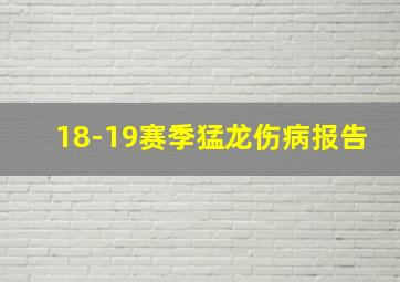 18-19赛季猛龙伤病报告