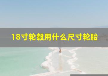 18寸轮毂用什么尺寸轮胎