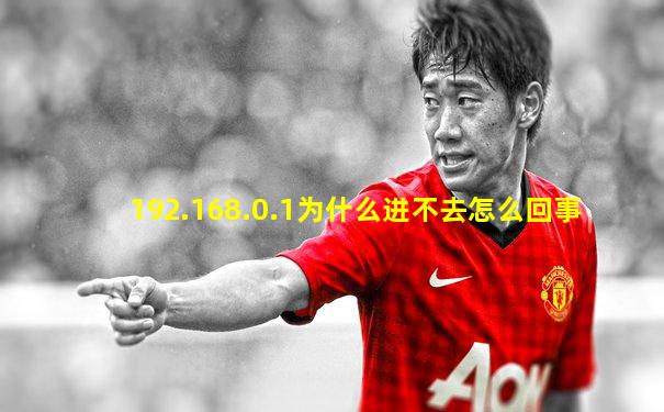 192.168.0.1为什么进不去怎么回事