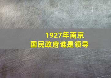 1927年南京国民政府谁是领导