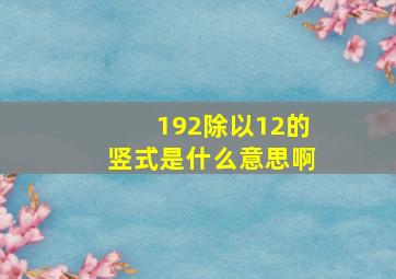 192除以12的竖式是什么意思啊