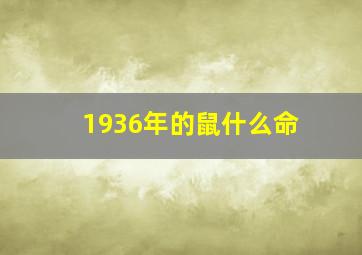 1936年的鼠什么命