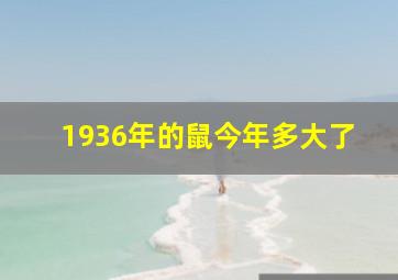 1936年的鼠今年多大了