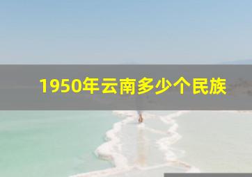 1950年云南多少个民族