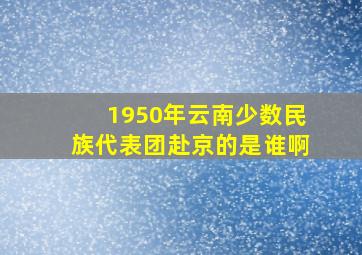 1950年云南少数民族代表团赴京的是谁啊