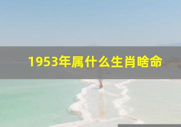 1953年属什么生肖啥命