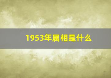 1953年属相是什么