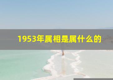 1953年属相是属什么的