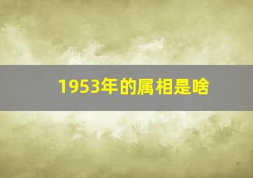 1953年的属相是啥