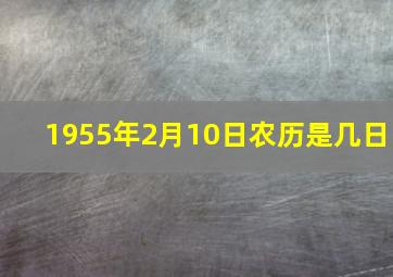 1955年2月10日农历是几日