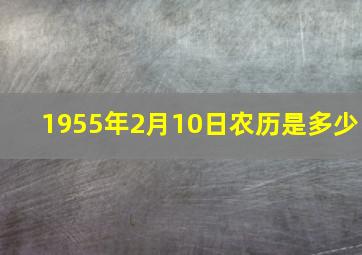 1955年2月10日农历是多少