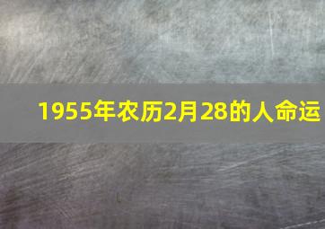 1955年农历2月28的人命运