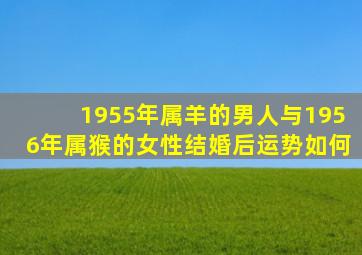 1955年属羊的男人与1956年属猴的女性结婚后运势如何