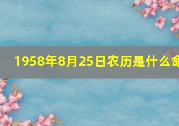 1958年8月25日农历是什么命