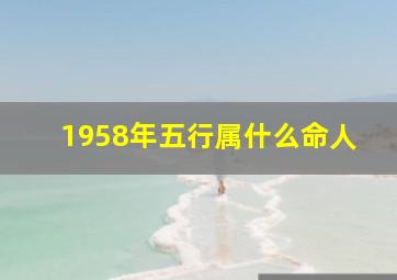 1958年五行属什么命人