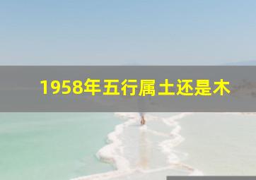 1958年五行属土还是木