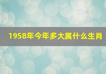 1958年今年多大属什么生肖