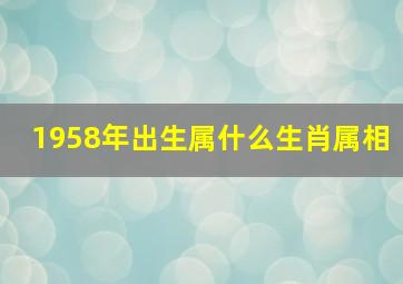 1958年出生属什么生肖属相