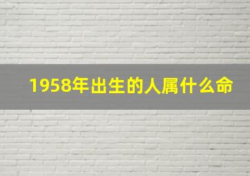 1958年出生的人属什么命