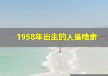 1958年出生的人是啥命