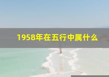 1958年在五行中属什么