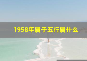 1958年属于五行属什么