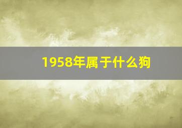 1958年属于什么狗