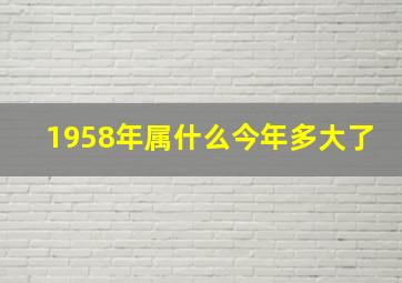 1958年属什么今年多大了